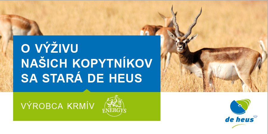 ZOO kosice banner.png