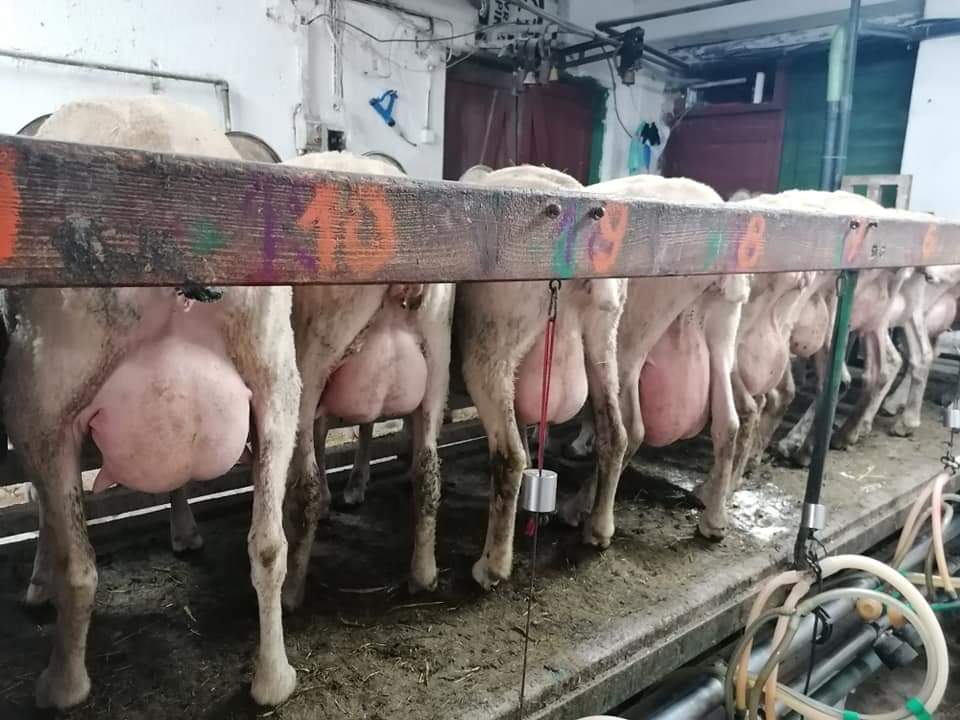 Foto: Arch&iacute;v M. Penička